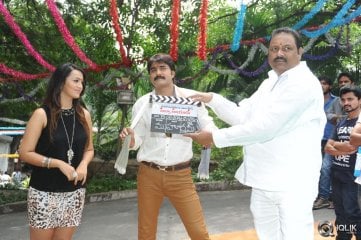 Jalsa Rayudu Movie Opening